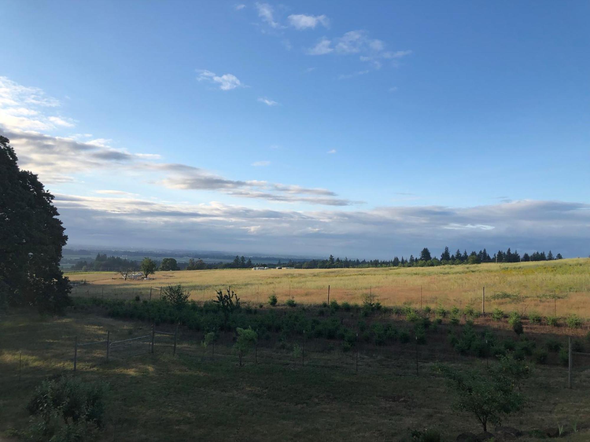 2 Bedroom Suite: Views, Private Entrance, Evchgr Amity Exterior photo